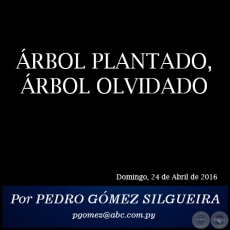 RBOL PLANTADO, RBOL OLVIDADO - Por PEDRO GMEZ SILGUEIRA - - Domingo, 24 de Abril de 2016 